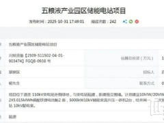 訂單猛漲246%！千億巨頭集體殺入儲能賽道